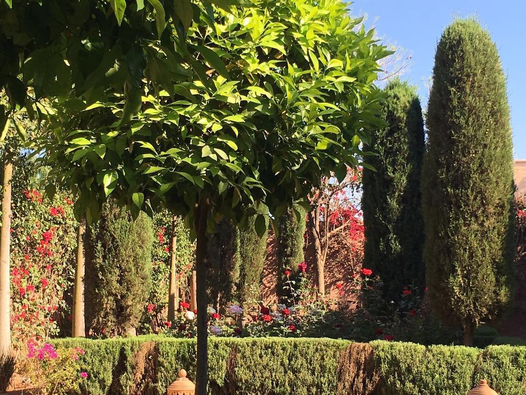 Hotel Al Fassia Aguedal Marrakesz Zewnętrze zdjęcie